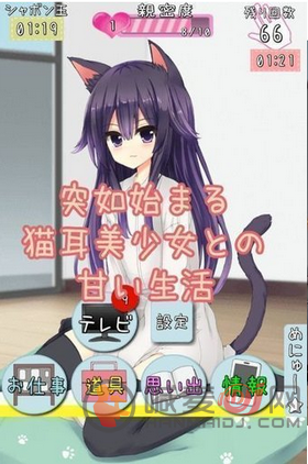 猫娘在家