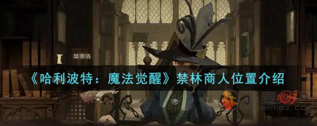 《哈利波特：魔法觉醒》禁林商人位置分享