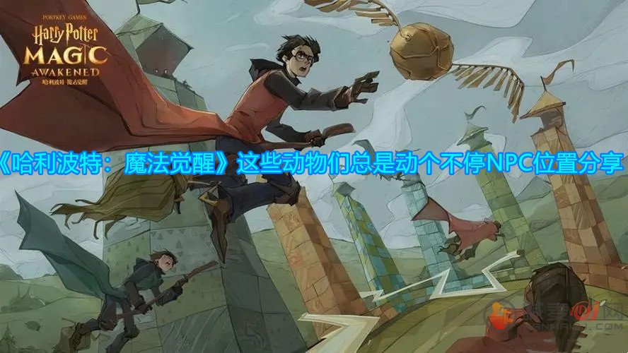 《哈利波特：魔法觉醒》这些动物们总是动个不停NPC位置分享