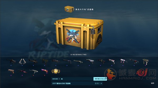 csgo激流大行动多少钱？2021通行证价格奖励介绍[多图]图片5