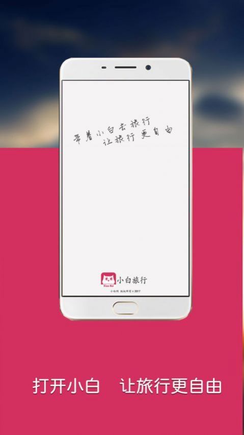 小白网截图