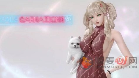 康乃馨俱乐部游戏
