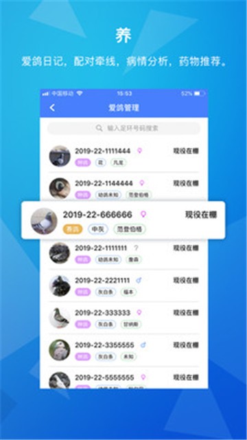 天下鸽谱截图