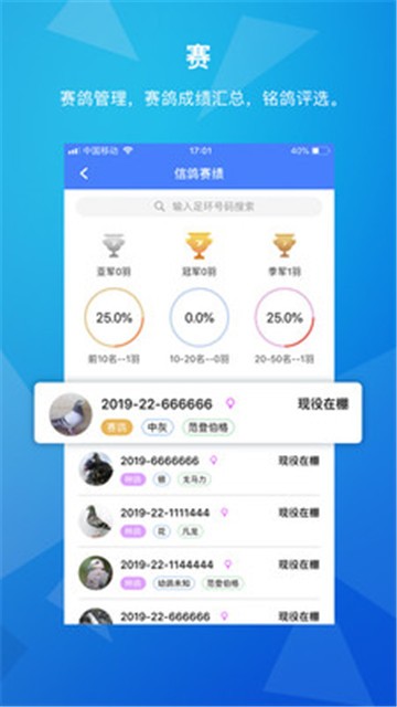 天下鸽谱截图