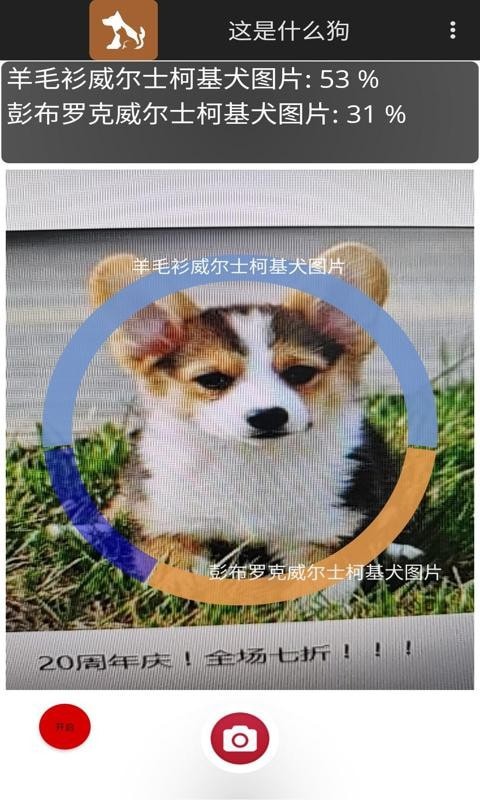 这是什么狗截图