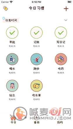 喵日常