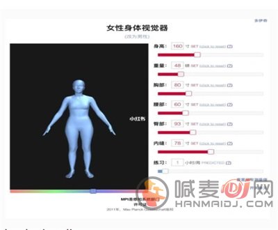 女性身体可视化修身工具