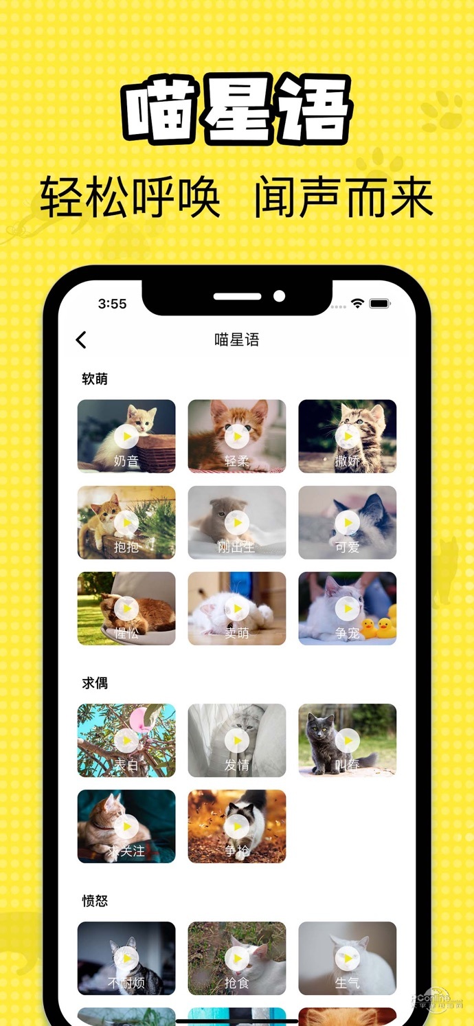 猫咪翻译官