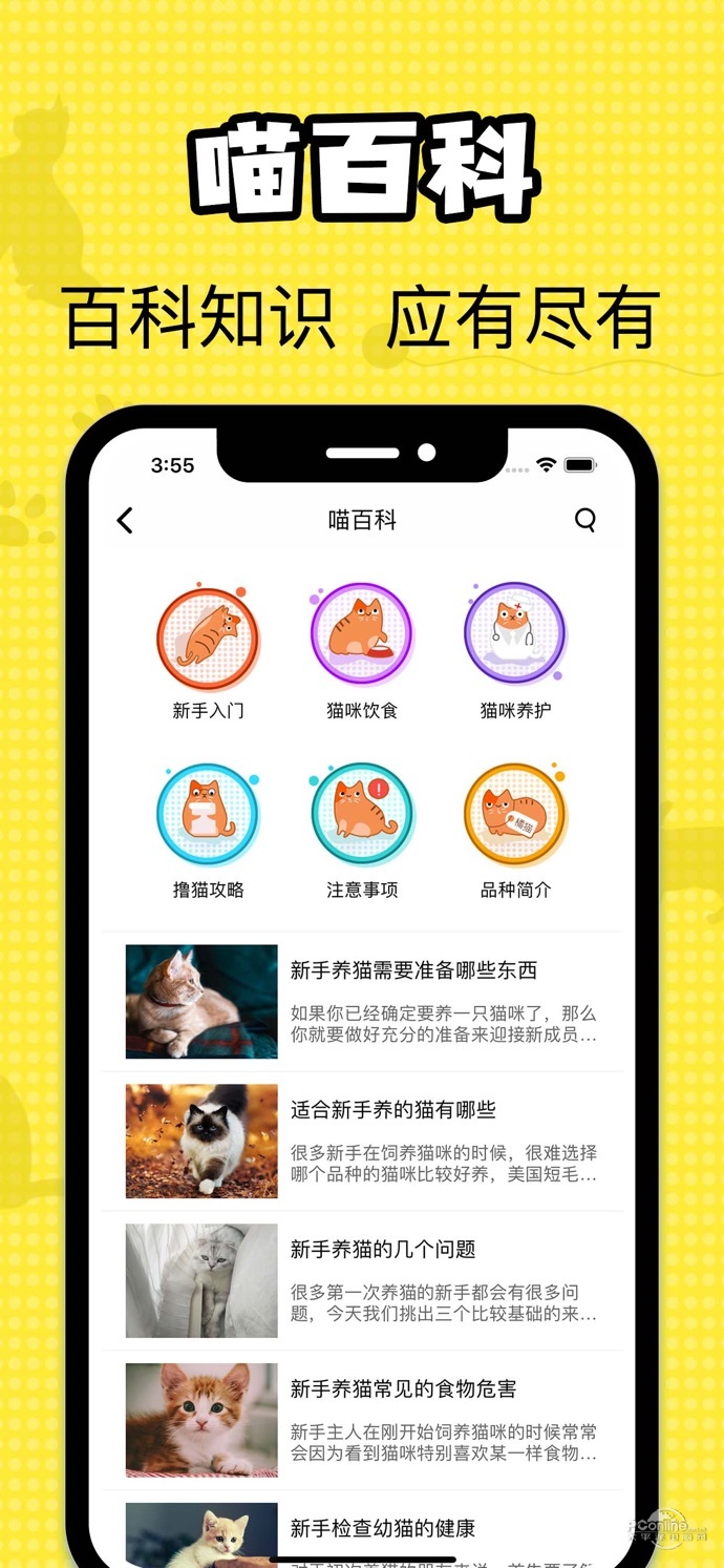 猫咪翻译官