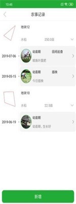 农鲸