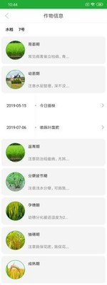 农鲸