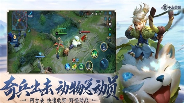 龟透框架工具截图