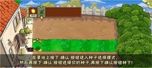 pvz花竹