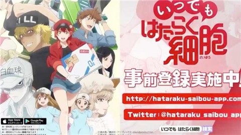 永远的工作细胞