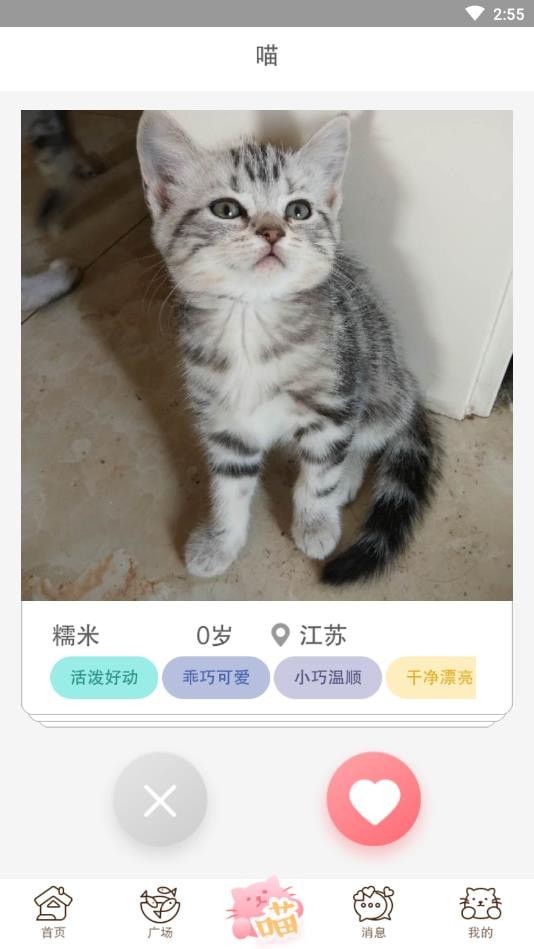 猫咪汇截图
