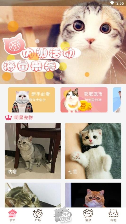 猫咪汇截图