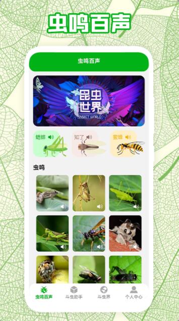 疯狂蛐蛐儿