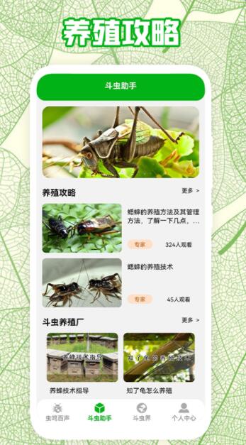 疯狂蛐蛐儿