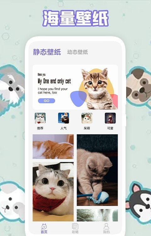 多多养猫助手截图