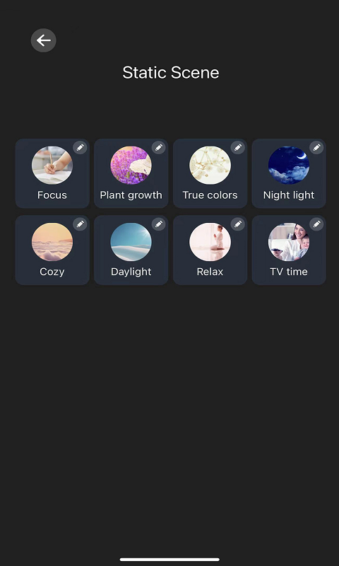思码光