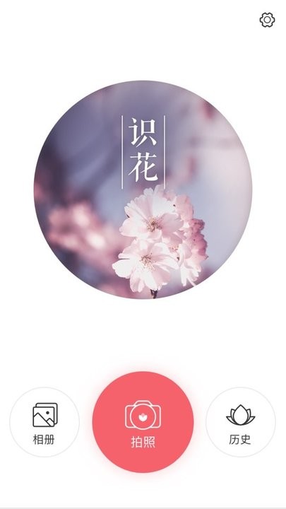 识花大师