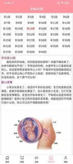 孕婴安孕妇端