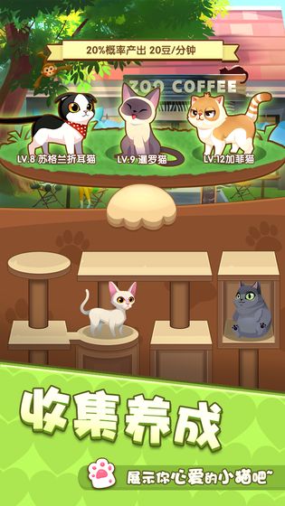 爱猫公社