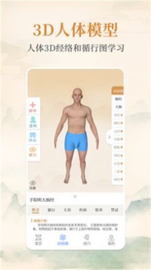 经络穴位标准指南