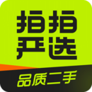 拍拍