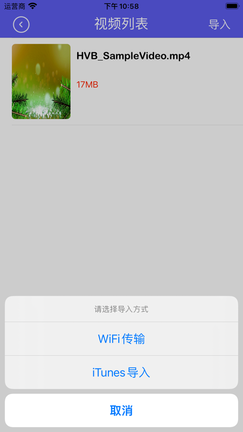 小胖视频管家截图