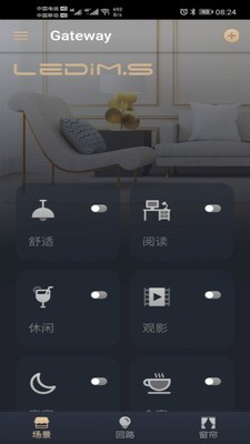 LEDiMS截图