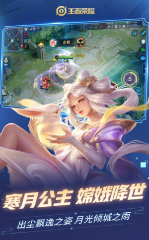 王者外观助手