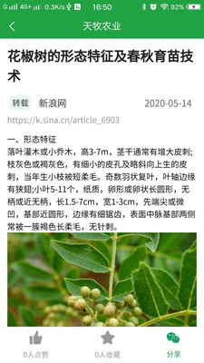 天牧农业