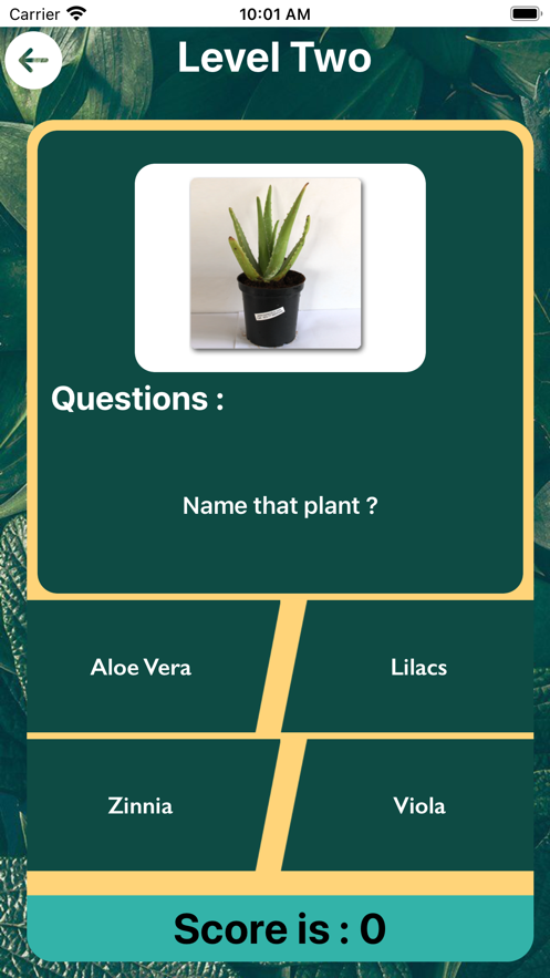 所有关于植物
