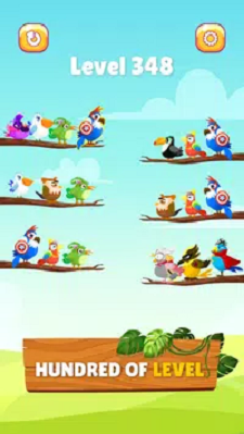 小鸟分类大师截图
