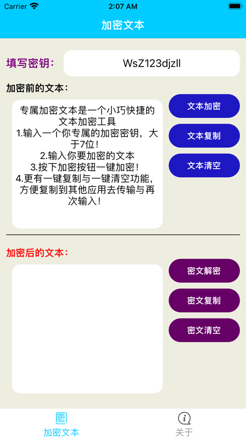 专属加密文本截图