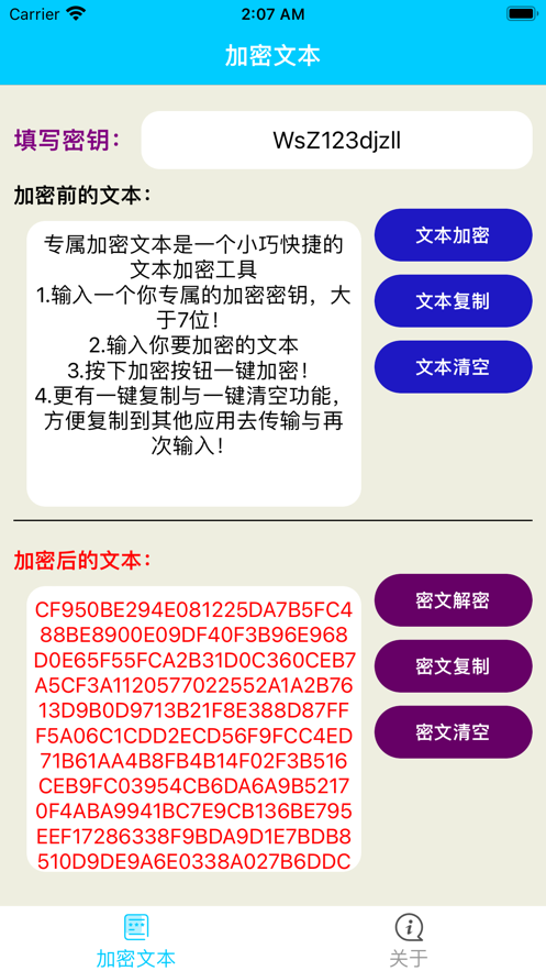 专属加密文本截图