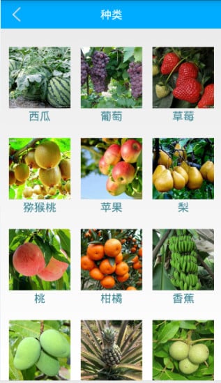 农掌门