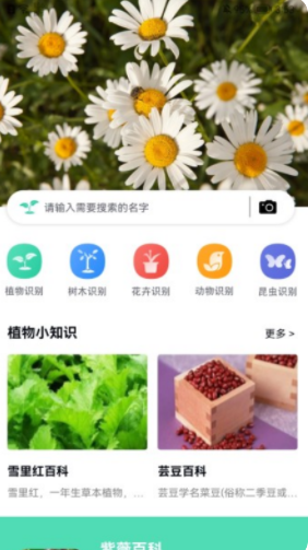 全能拍照识图截图