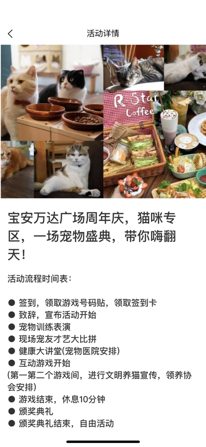 淘爱猫