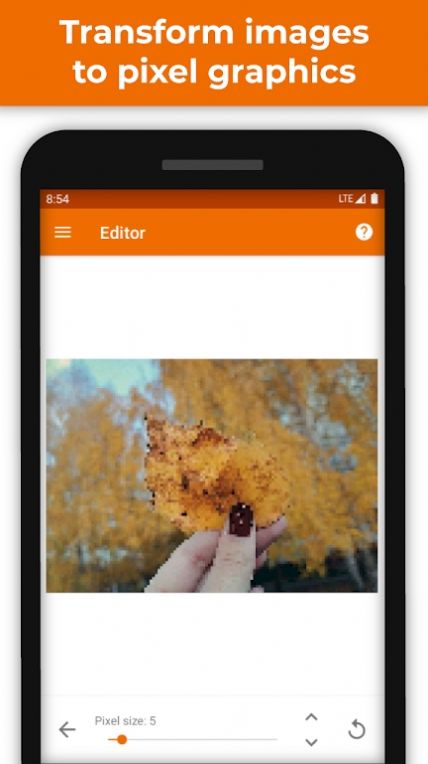 PhotoToPixels截图