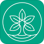 比茶大陆