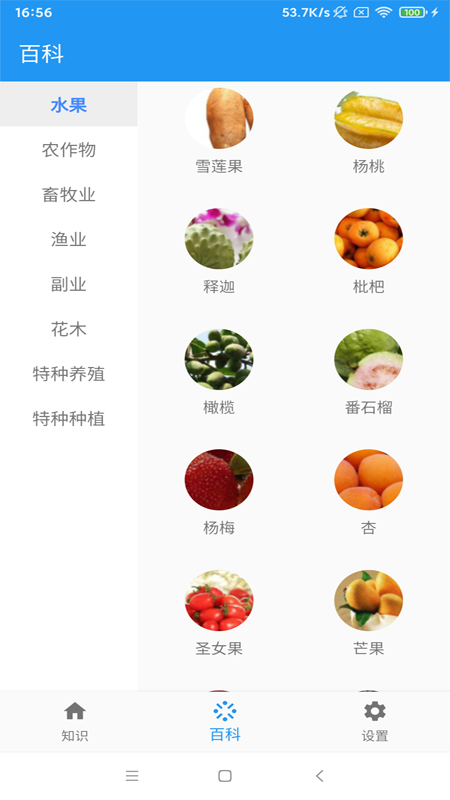 森雅农业