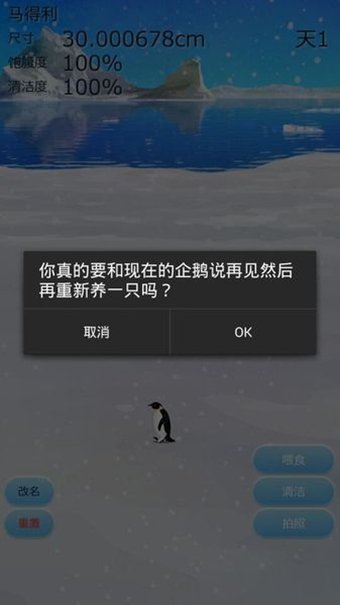 治愈的企鹅育成截图