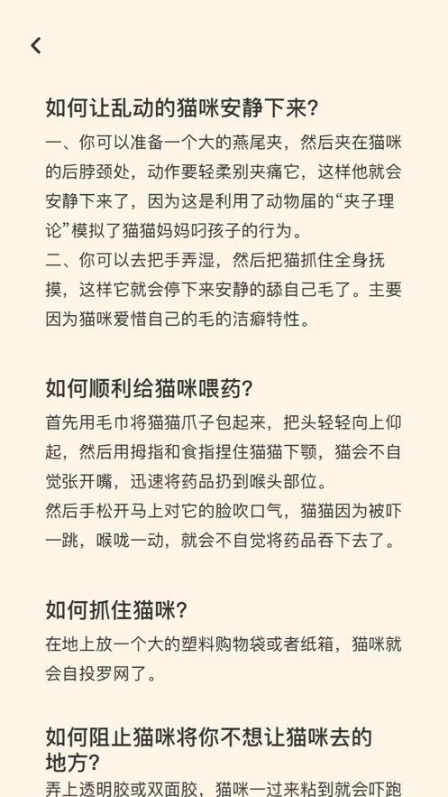 闪电猫