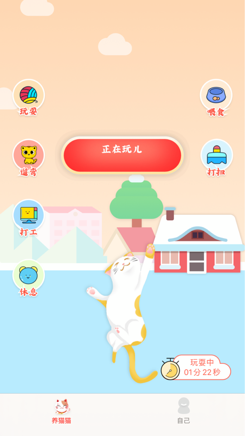 闪电猫