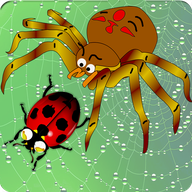 AngrySpiders