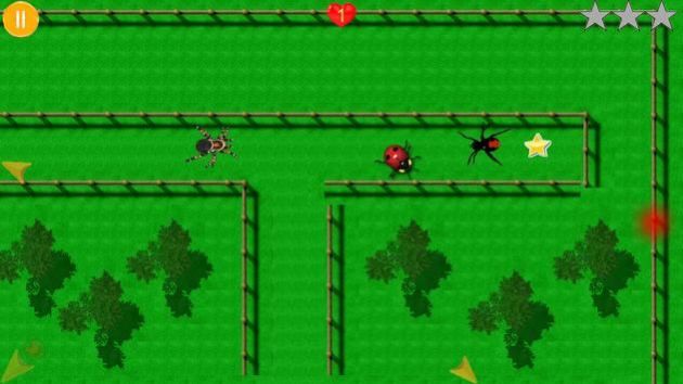 AngrySpiders