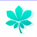 梧桐树TP