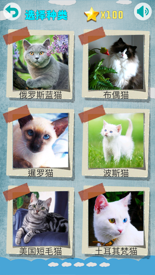 萌猫拼图